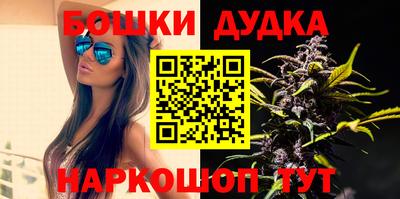 МДПВ Гай